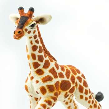 Wildlife - Wild Safari Baby Reticulated Giraffe (Netzgiraffe) Kunststoff Figur von Safari